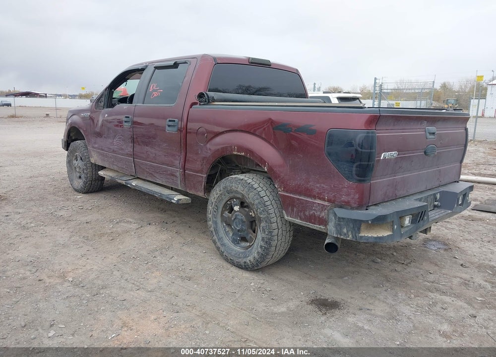 2009 FORD F-150 XL/XLT VIN: 1FTRW14819FB02591