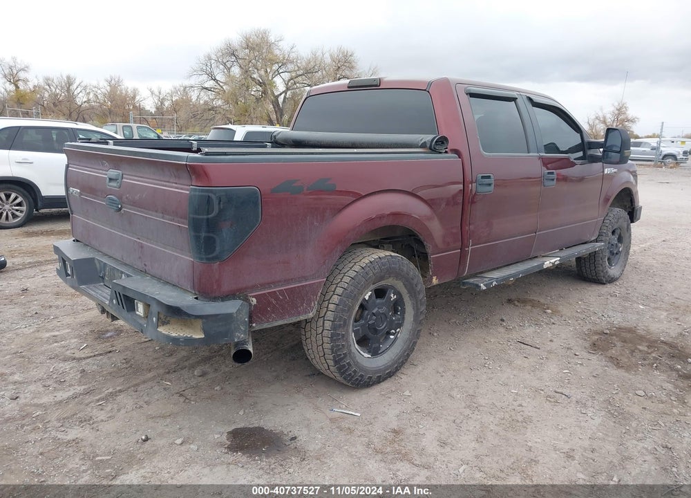 2009 FORD F-150 XL/XLT VIN: 1FTRW14819FB02591