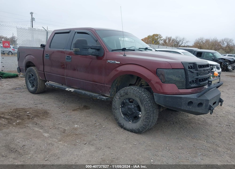 2009 FORD F-150 XL/XLT VIN: 1FTRW14819FB02591