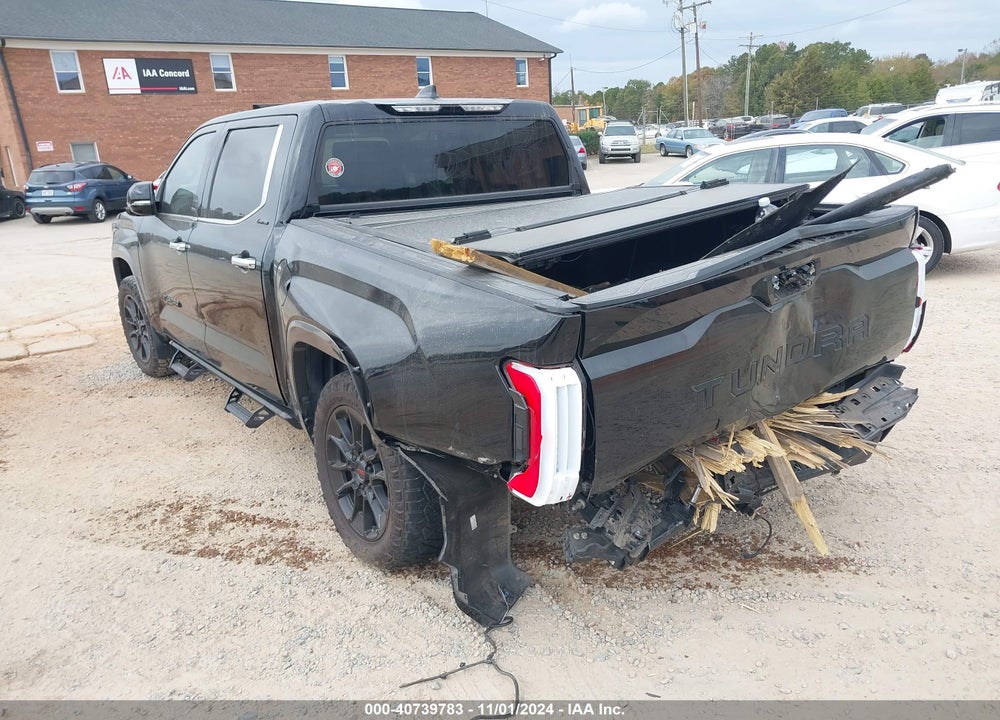 2023 TOYOTA TUNDRA LIMITED VIN: 5TFJA5AB0PX025898
