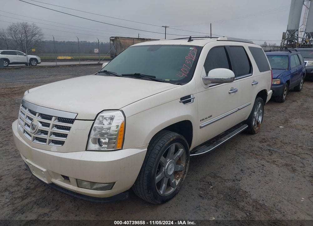 2010 CADILLAC ESCALADE VIN: 1GYUKAEF0AR254734