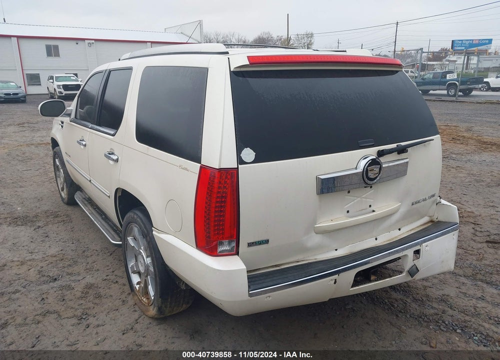 2010 CADILLAC ESCALADE VIN: 1GYUKAEF0AR254734