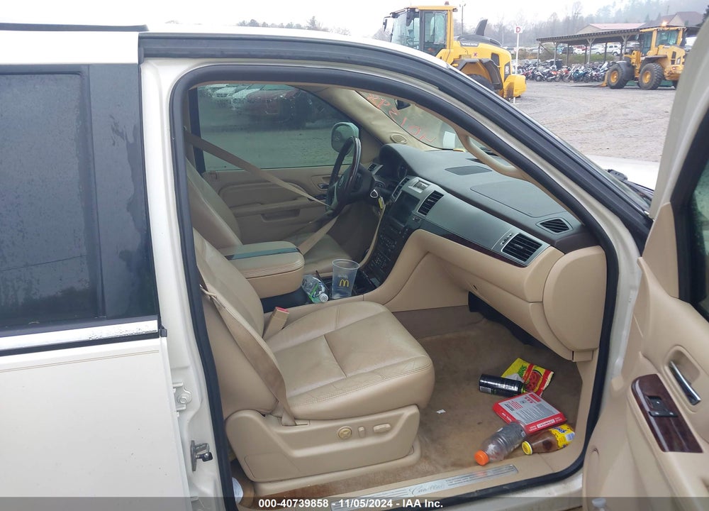 2010 CADILLAC ESCALADE VIN: 1GYUKAEF0AR254734