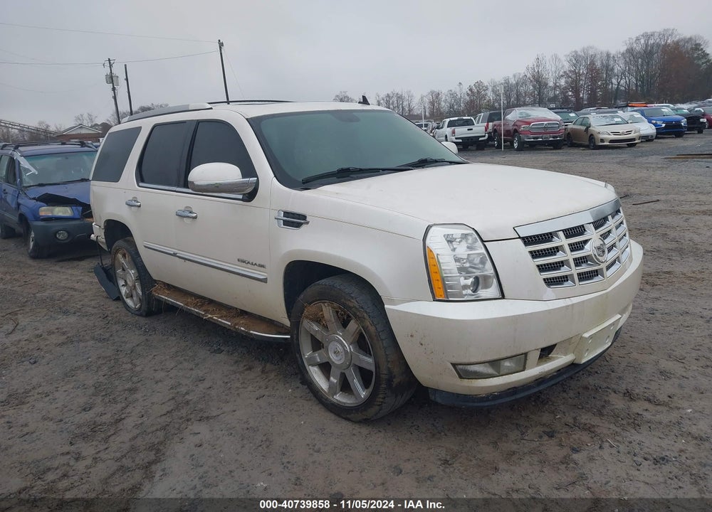 2010 CADILLAC ESCALADE VIN: 1GYUKAEF0AR254734