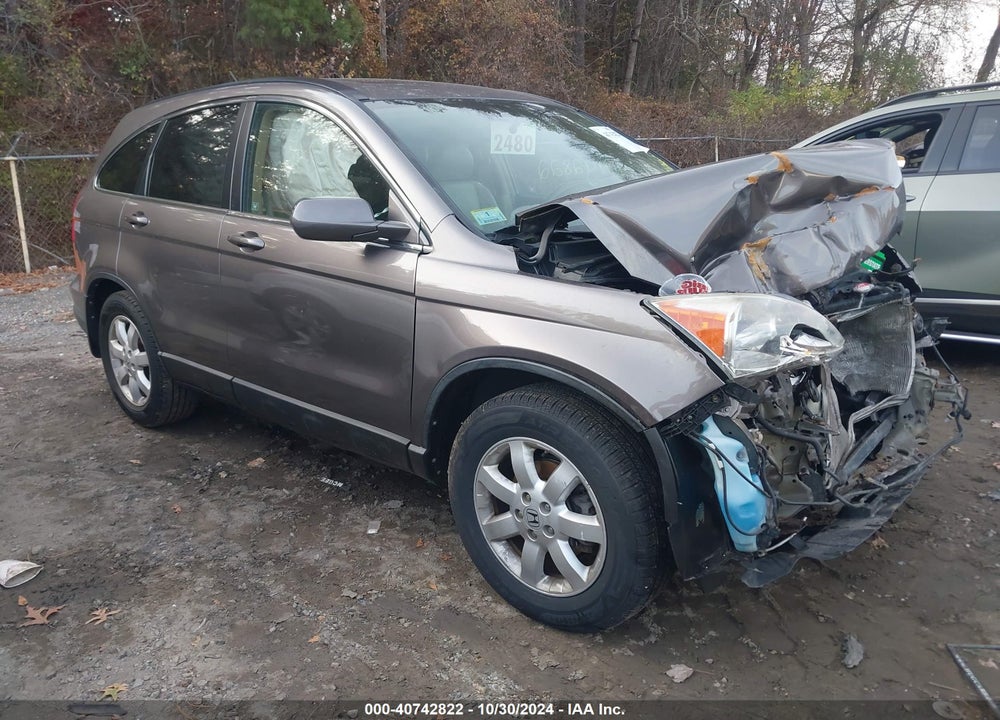 2009 HONDA CR-V EX-L VIN: 5J6RE48799L061354