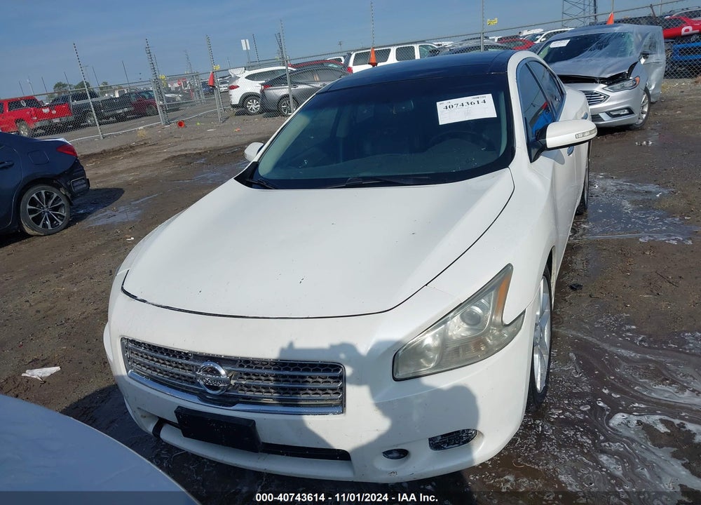 2009 NISSAN MAXIMA 3.5 SV VIN: 1N4AA51E99C857475