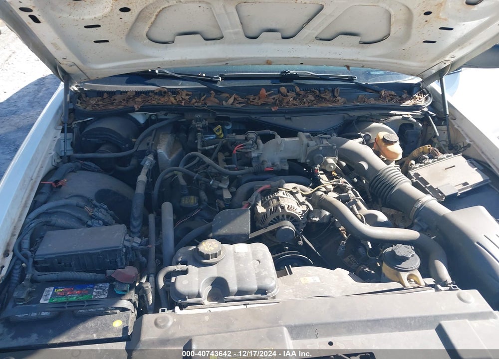 2009 FORD CROWN VICTORIA VIN: 2FAHP71V69X100447