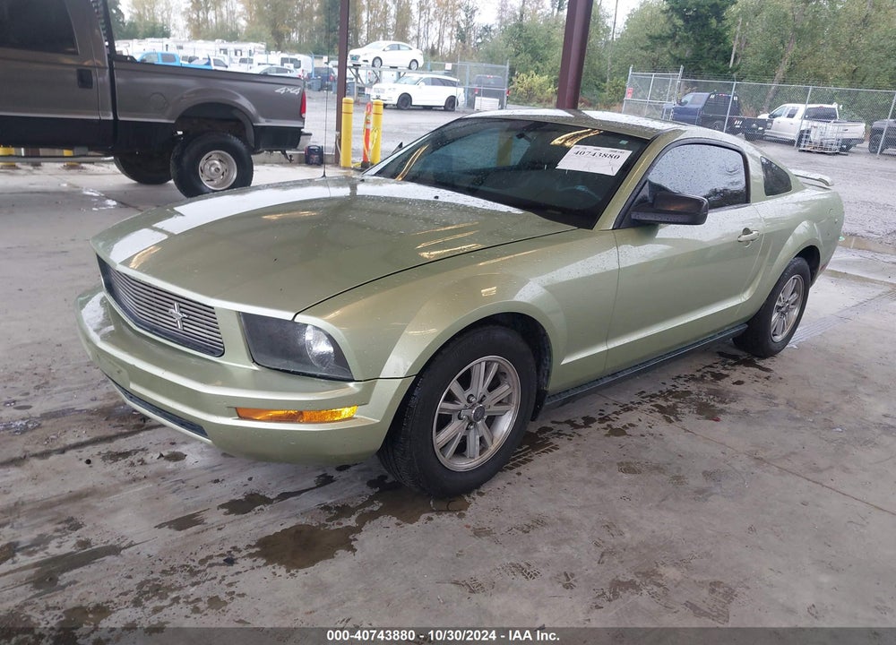 2006 FORD MUSTANG V6 VIN: 1ZVHT80NX65149156