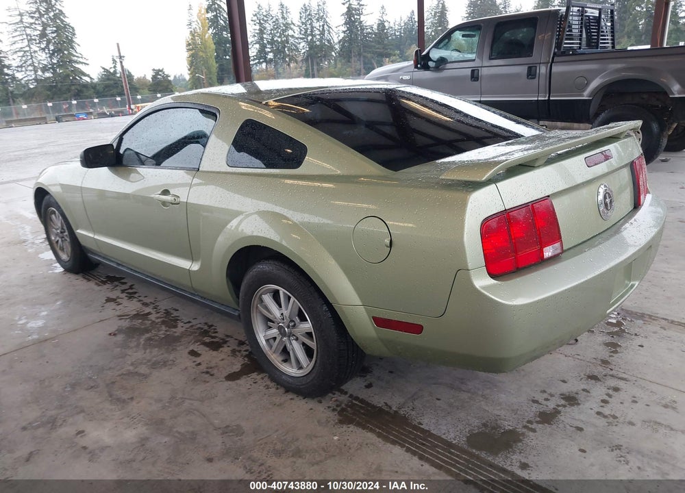2006 FORD MUSTANG V6 VIN: 1ZVHT80NX65149156