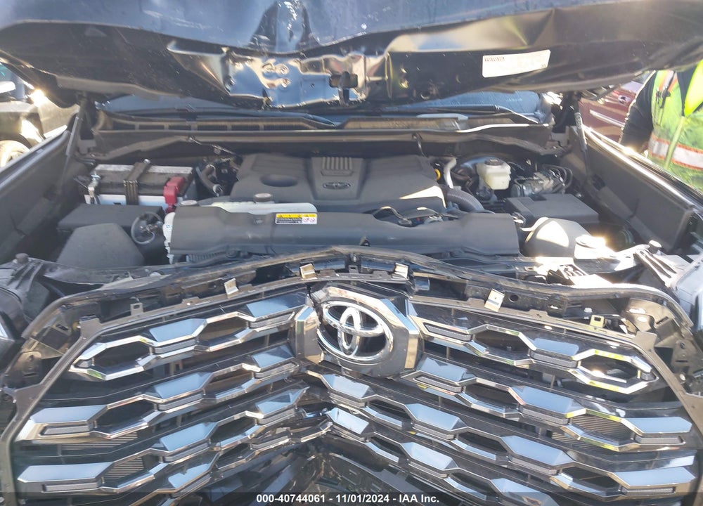 2024 TOYOTA TUNDRA PLATINUM VIN: 5TFNA5DB5RX148287
