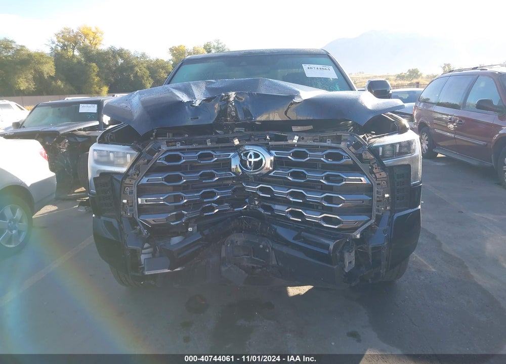 2024 TOYOTA TUNDRA PLATINUM VIN: 5TFNA5DB5RX148287
