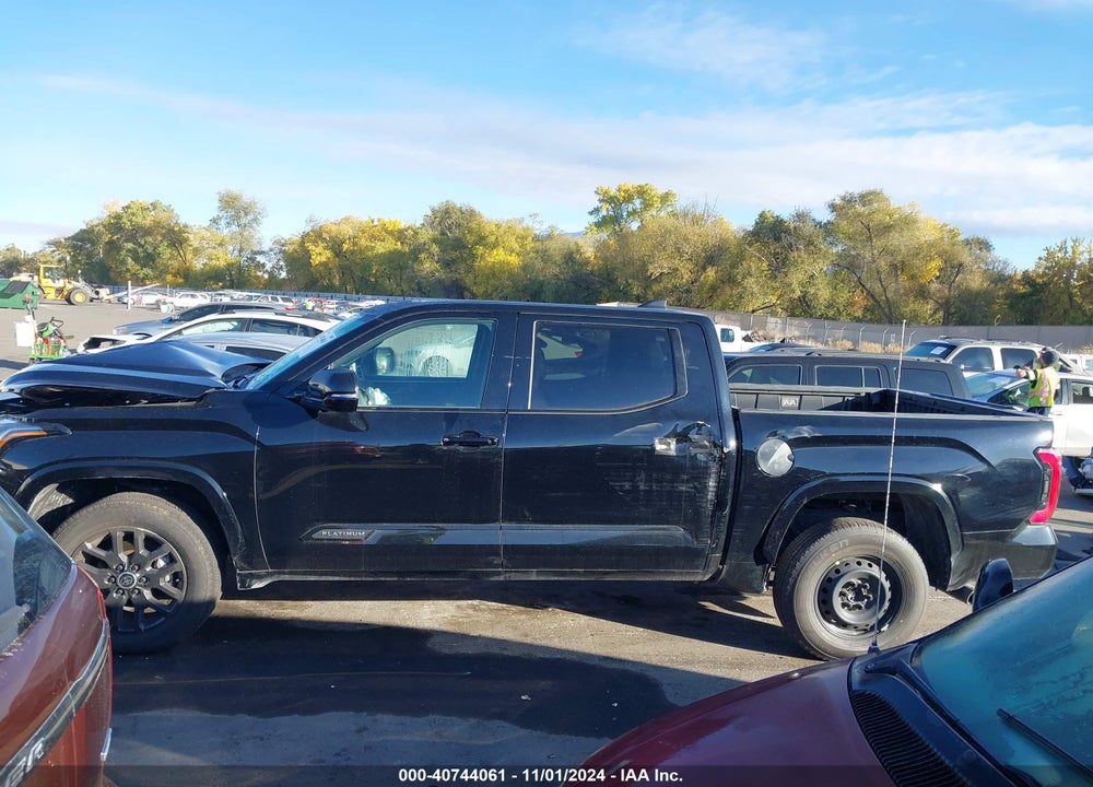 2024 TOYOTA TUNDRA PLATINUM VIN: 5TFNA5DB5RX148287