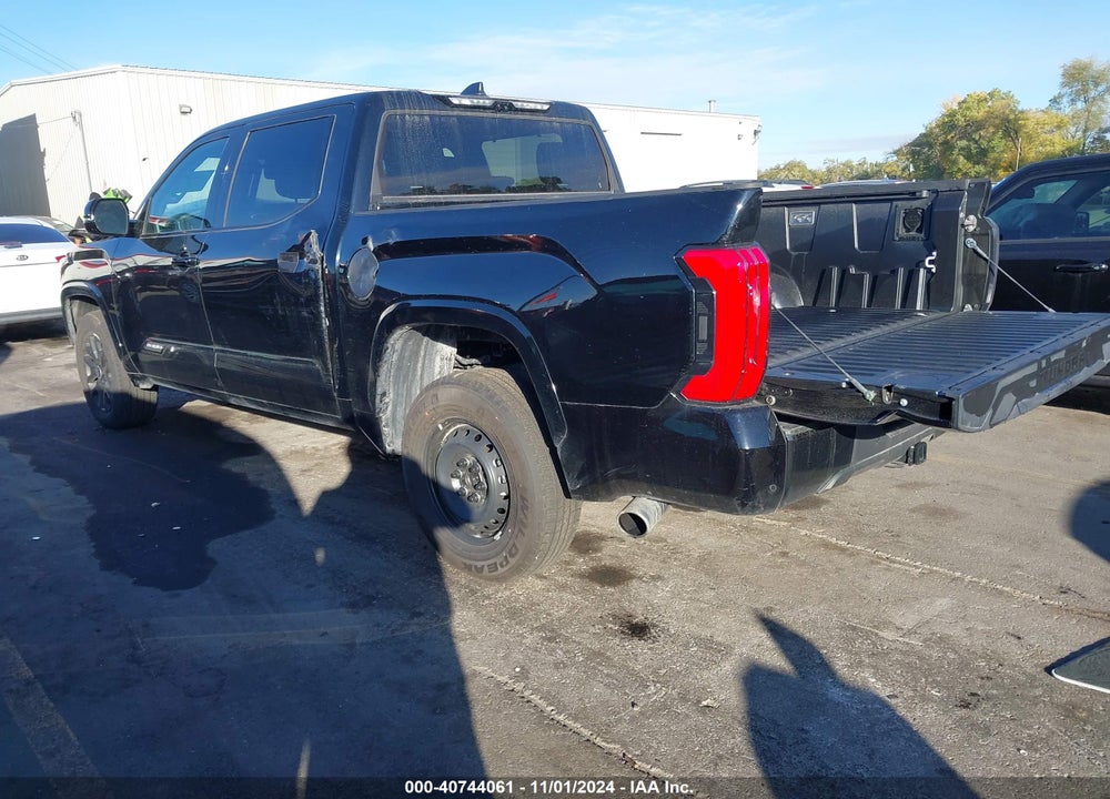 2024 TOYOTA TUNDRA PLATINUM VIN: 5TFNA5DB5RX148287