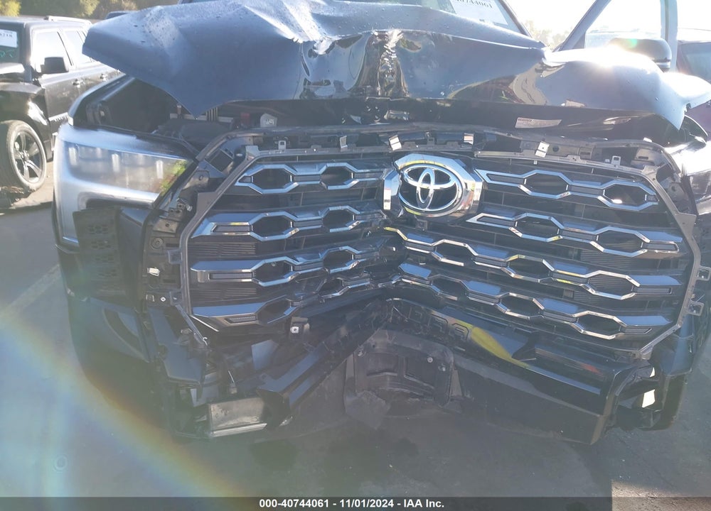 2024 TOYOTA TUNDRA PLATINUM VIN: 5TFNA5DB5RX148287