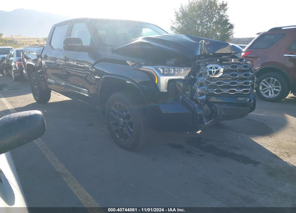 2024 TOYOTA TUNDRA PLATINUM VIN: 5TFNA5DB5RX148287