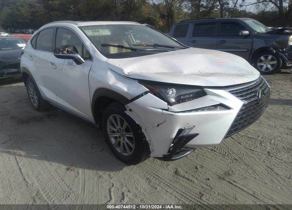 2020 LEXUS NX 300 VIN: JTJDARBZ2L5003016