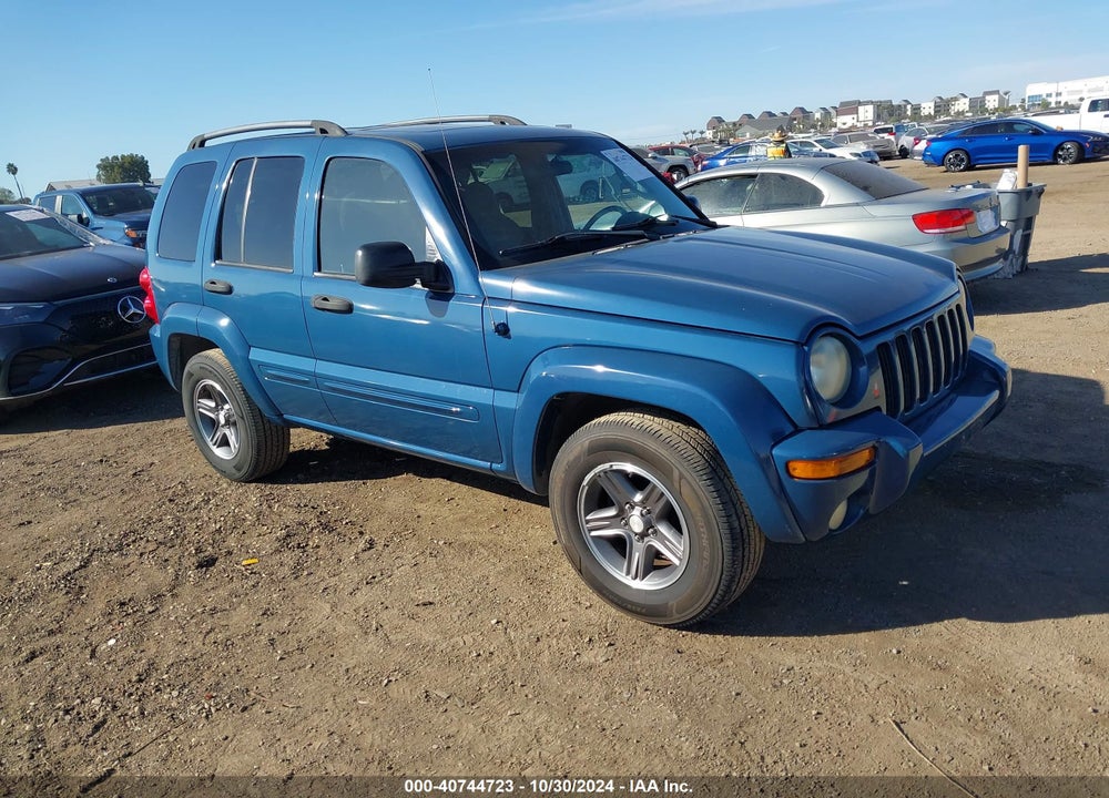 2004 JEEP LIBERTY SPORT VIN: 1J4GK48K64W173380