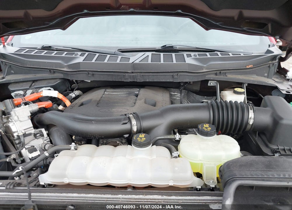2021 FORD F-150 XLT VIN: 1FTFW1ED9MFC98920