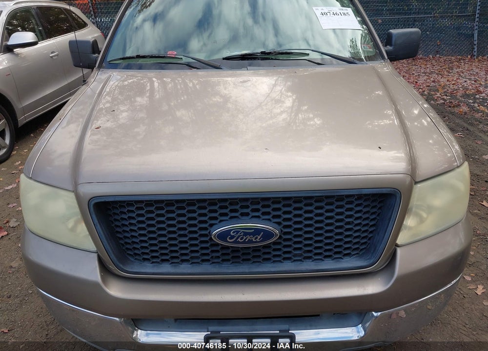 2004 FORD F-150 XLT VIN: 1FTRW12W94KD48810