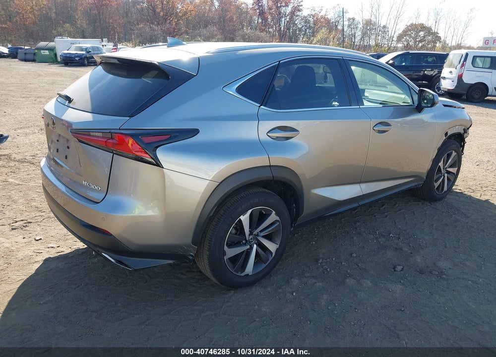 2018 LEXUS NX 300/BASE/F SPORT VIN: JTJBARBZ5J2158245