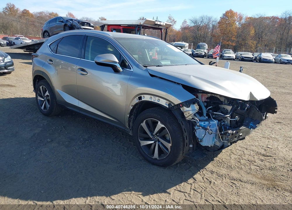 2018 LEXUS NX 300/BASE/F SPORT VIN: JTJBARBZ5J2158245