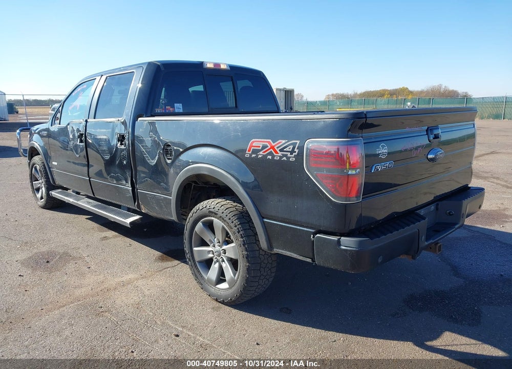 2014 FORD F-150 VIN: 1FTFW1ET4EKG55484