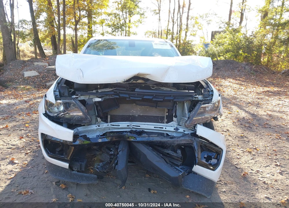2021 CHEVROLET COLORADO 2WD SHORT BOX WT VIN: 1GCGSBEA1M1114840
