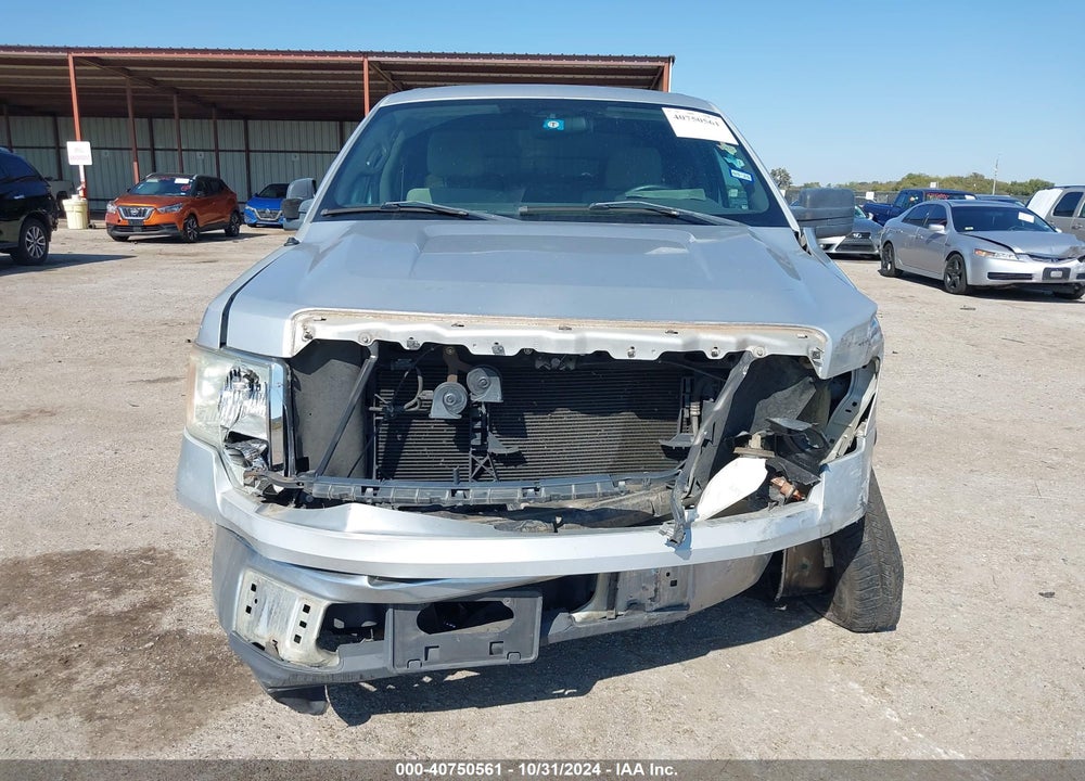 2009 FORD F-150 XL/XLT VIN: 1FTRW12809FB25217