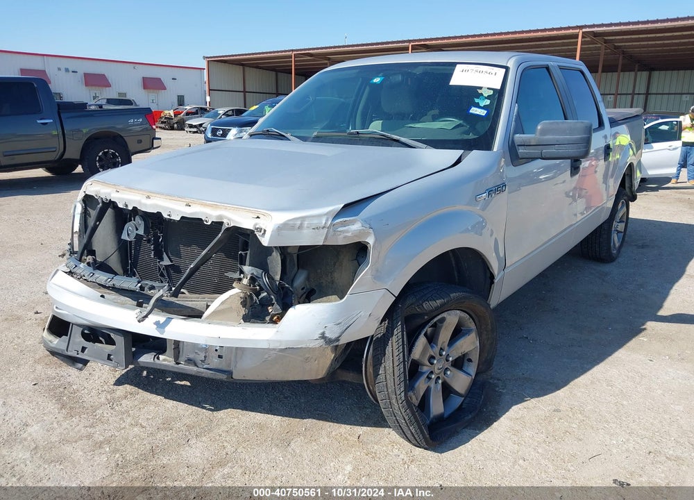 2009 FORD F-150 XL/XLT VIN: 1FTRW12809FB25217