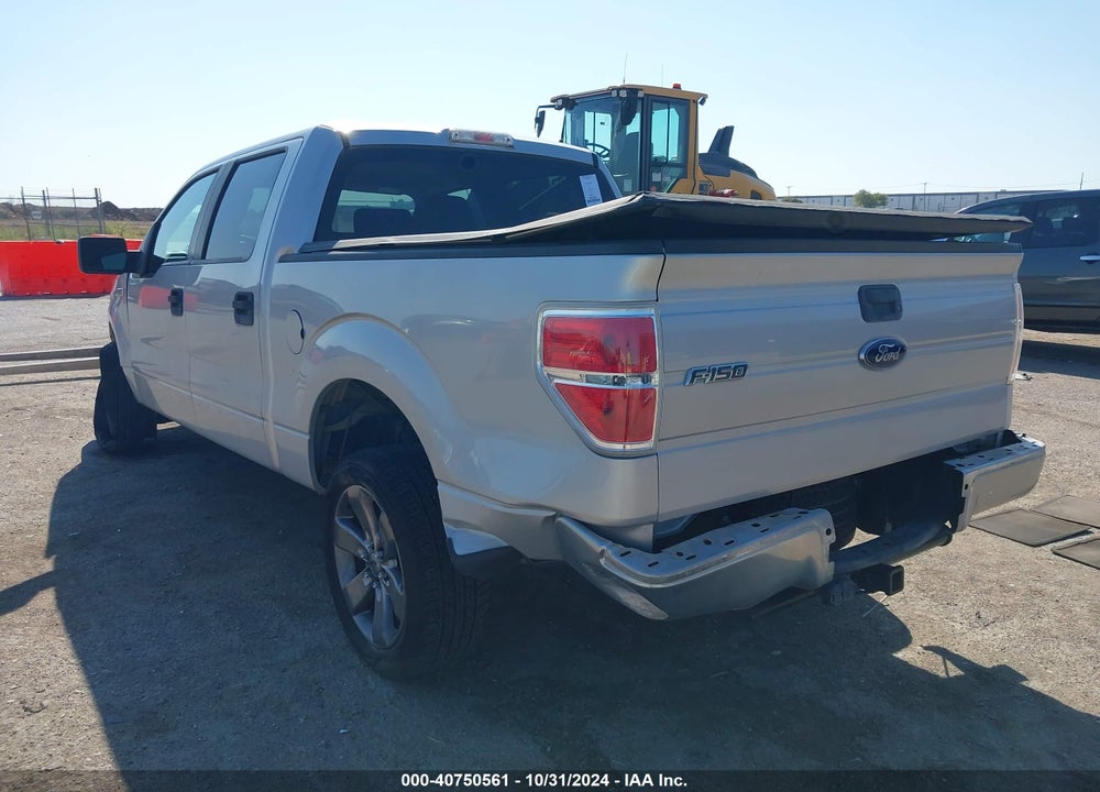 2009 FORD F-150 XL/XLT VIN: 1FTRW12809FB25217