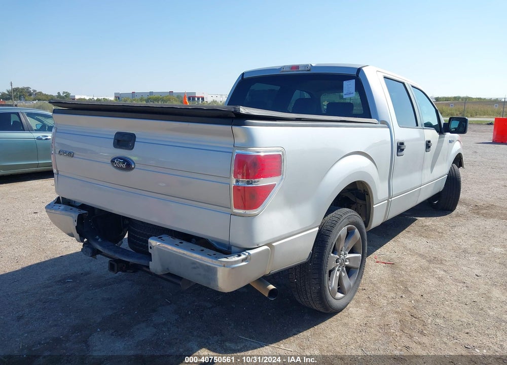 2009 FORD F-150 XL/XLT VIN: 1FTRW12809FB25217