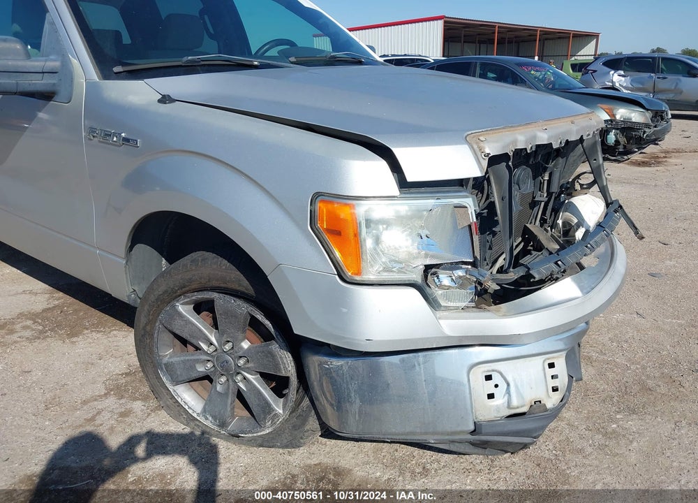 2009 FORD F-150 XL/XLT VIN: 1FTRW12809FB25217