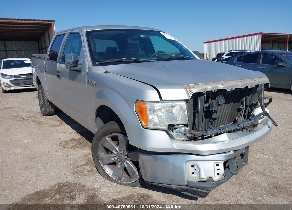 2009 FORD F-150 XL/XLT VIN: 1FTRW12809FB25217