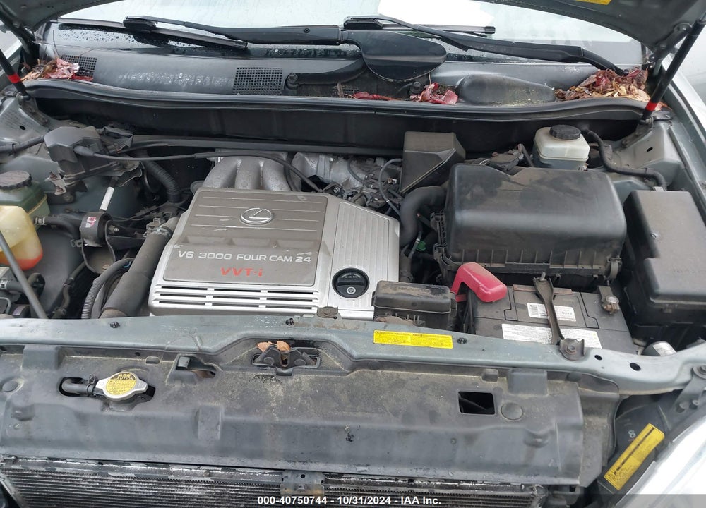 2002 LEXUS RX 300 VIN: JTJHF10U520235293