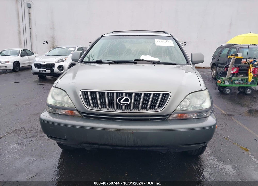 2002 LEXUS RX 300 VIN: JTJHF10U520235293