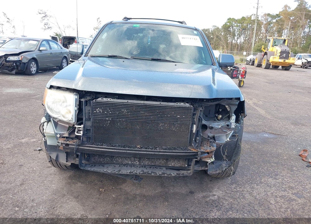 2010 FORD ESCAPE LIMITED VIN: 1FMCU9E74AKD05353