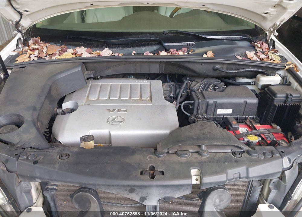 2007 LEXUS RX 350 VIN: 2T2HK31U77C040636