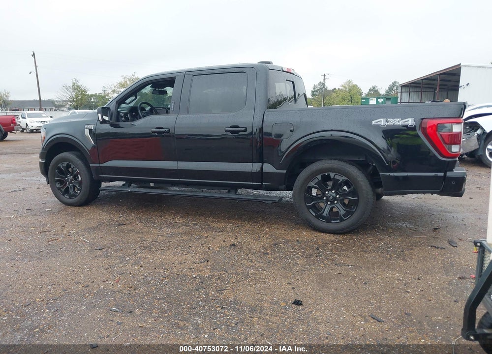 2023 FORD F-150 PLATINUM VIN: 1FTFW1E54PFC24365