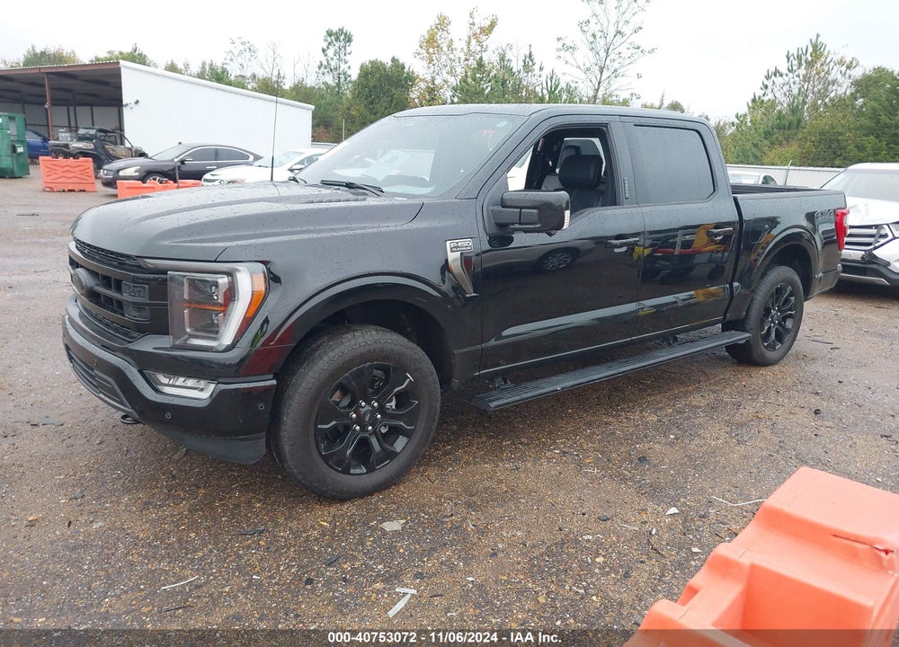 2023 FORD F-150 PLATINUM VIN: 1FTFW1E54PFC24365