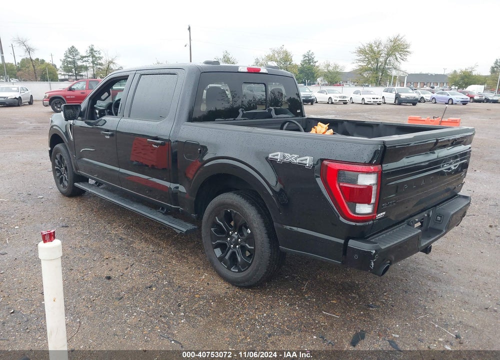 2023 FORD F-150 PLATINUM VIN: 1FTFW1E54PFC24365