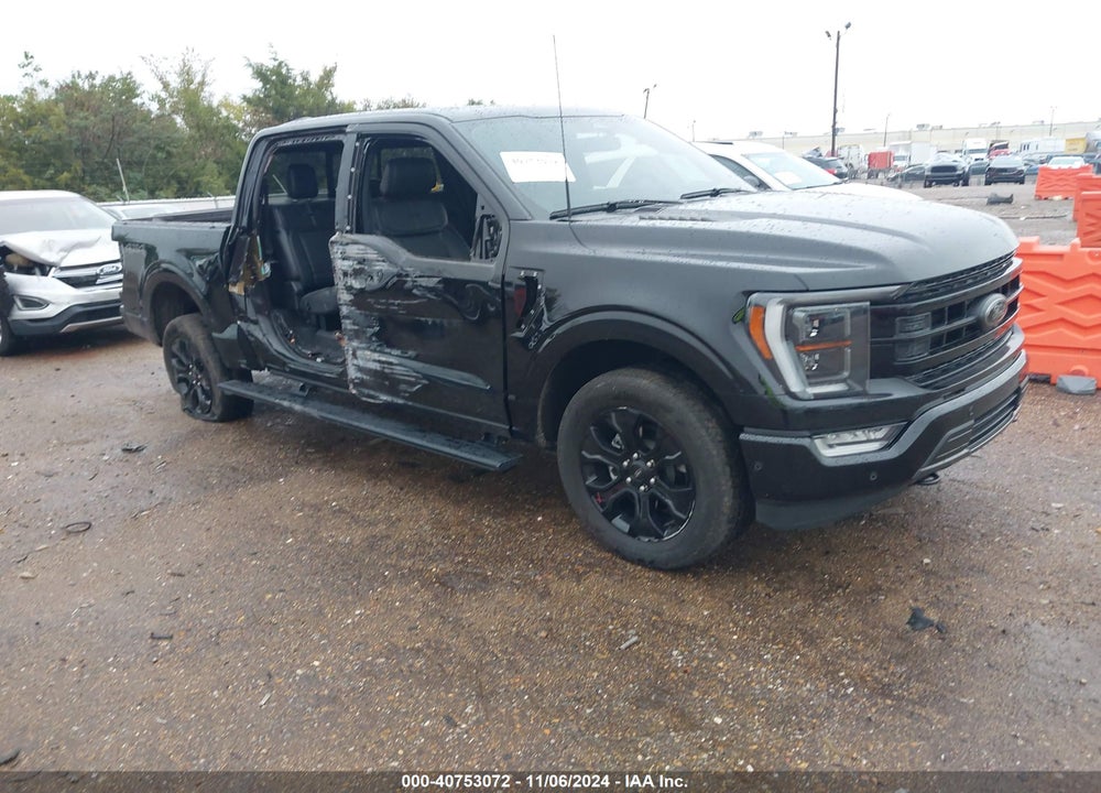 2023 FORD F-150 PLATINUM VIN: 1FTFW1E54PFC24365