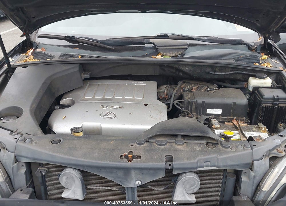 2009 LEXUS RX 350 VIN: 2T2HK31U09C118094