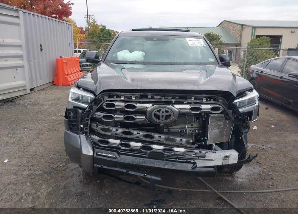 2023 TOYOTA TUNDRA PLATINUM VIN: 5TFNA5ECXPX012516