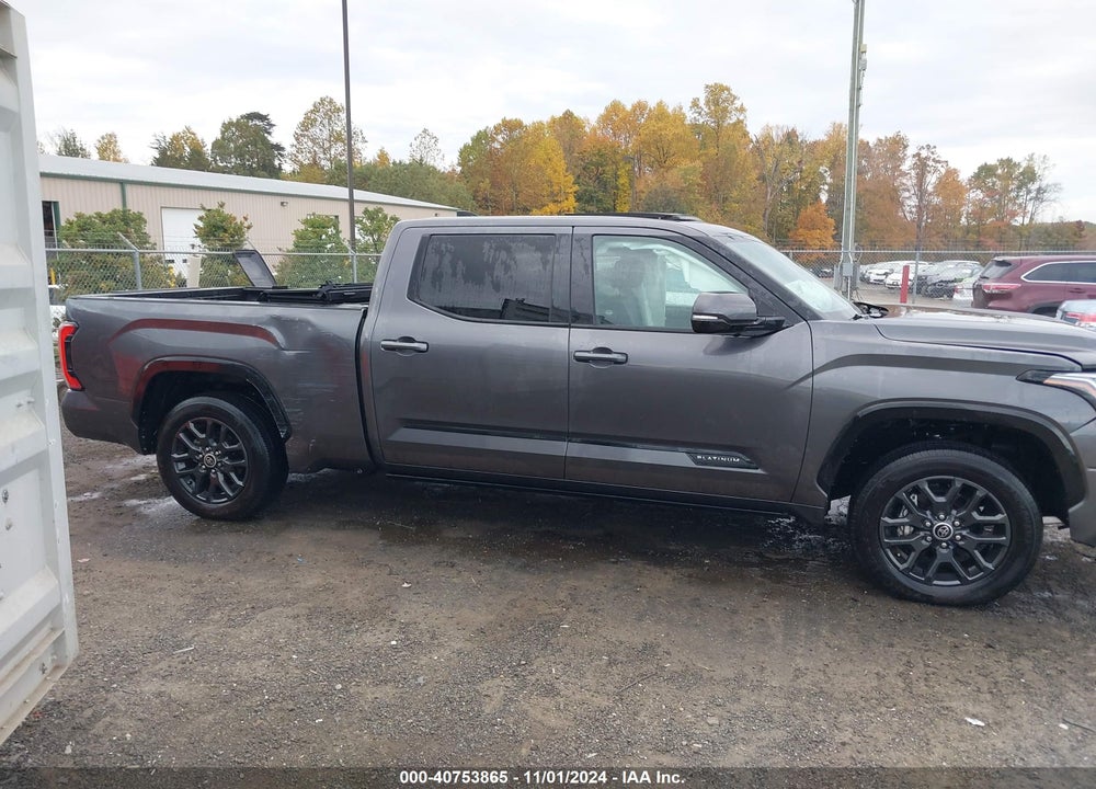 2023 TOYOTA TUNDRA PLATINUM VIN: 5TFNA5ECXPX012516