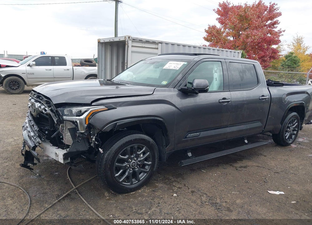 2023 TOYOTA TUNDRA PLATINUM VIN: 5TFNA5ECXPX012516