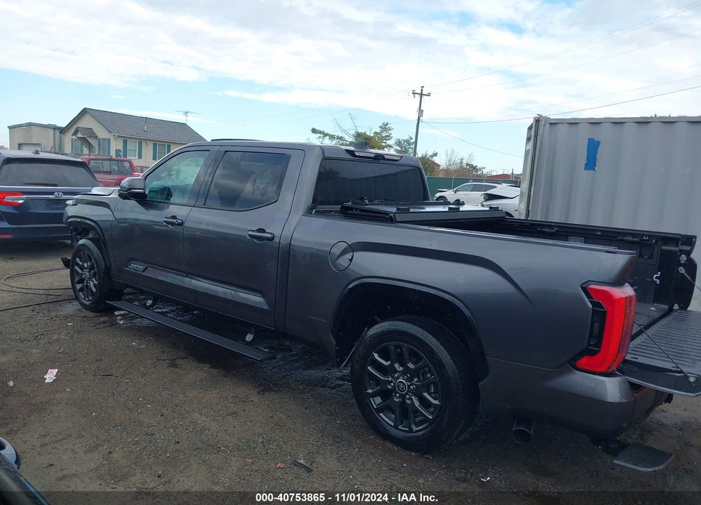 2023 TOYOTA TUNDRA PLATINUM VIN: 5TFNA5ECXPX012516