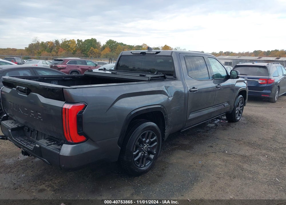 2023 TOYOTA TUNDRA PLATINUM VIN: 5TFNA5ECXPX012516