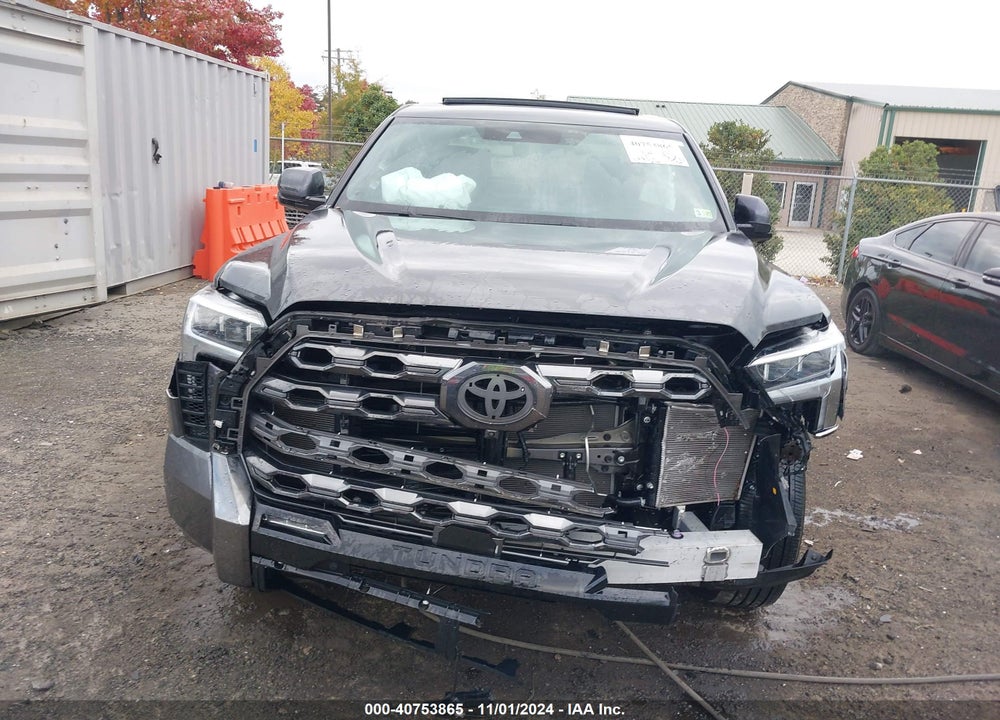 2023 TOYOTA TUNDRA PLATINUM VIN: 5TFNA5ECXPX012516