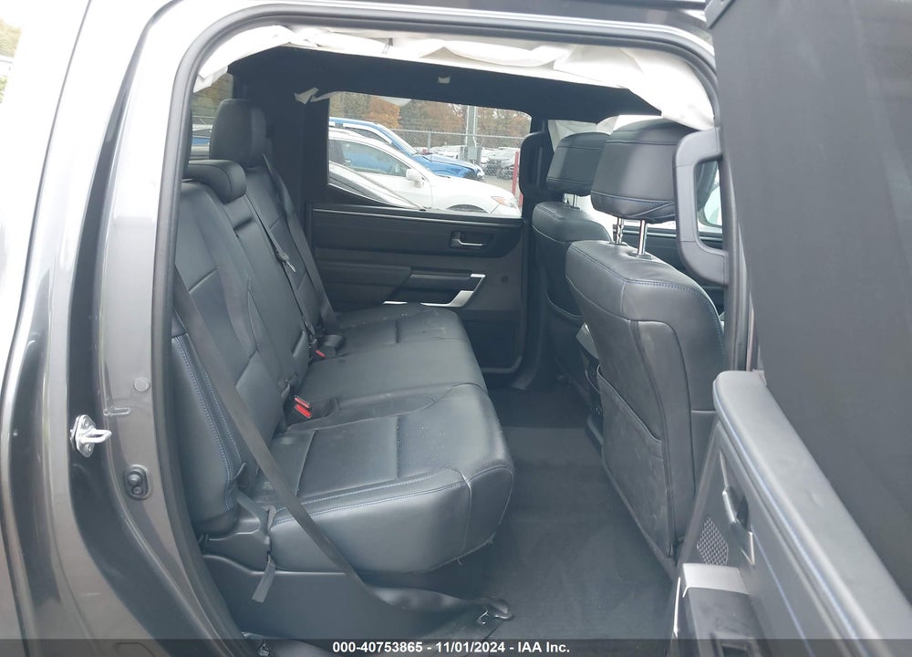 2023 TOYOTA TUNDRA PLATINUM VIN: 5TFNA5ECXPX012516
