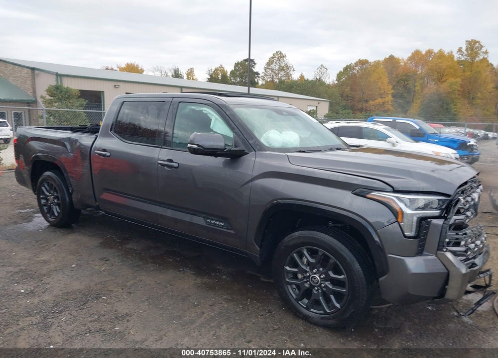 2023 TOYOTA TUNDRA PLATINUM VIN: 5TFNA5ECXPX012516
